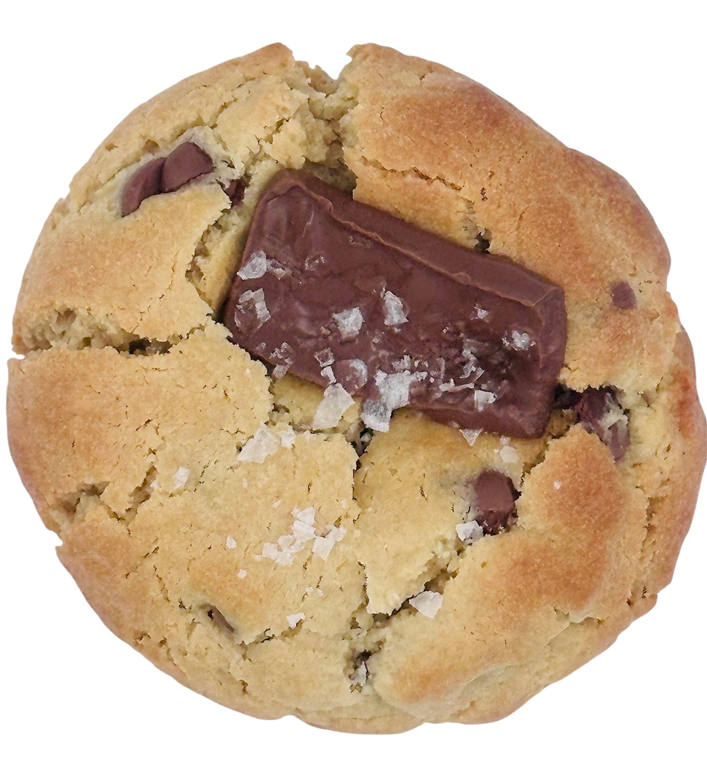 Double Chocolate Chip (5 Cookies)