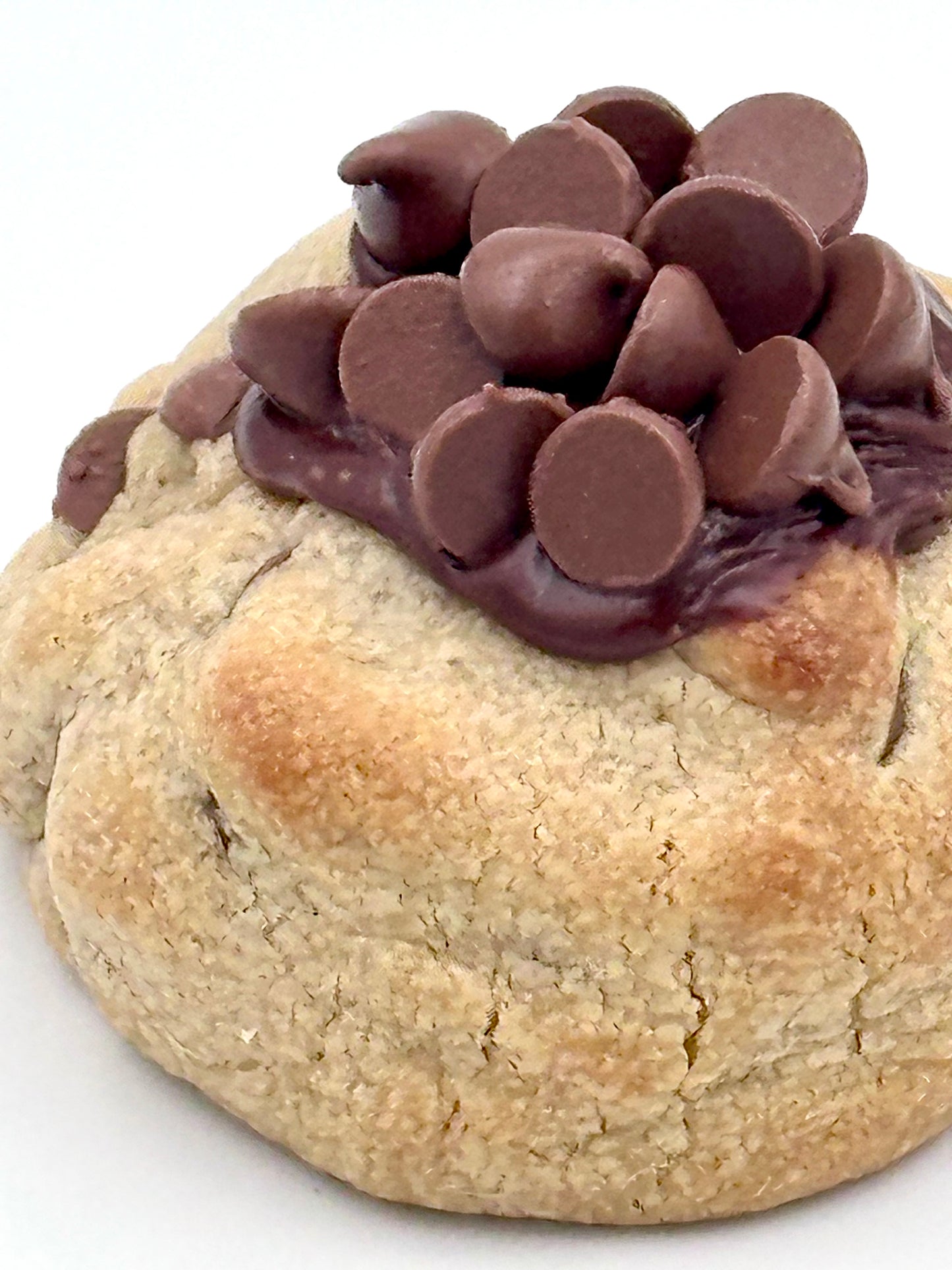 Loaded Peanut Butter Chocolate Chip (Wholesale)