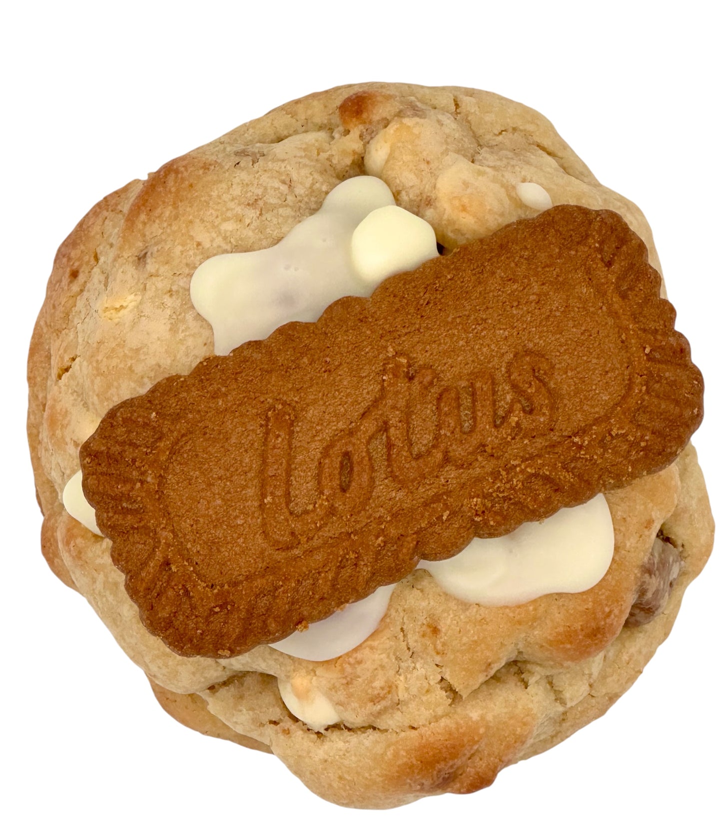 Biscoffi (Wholesale)