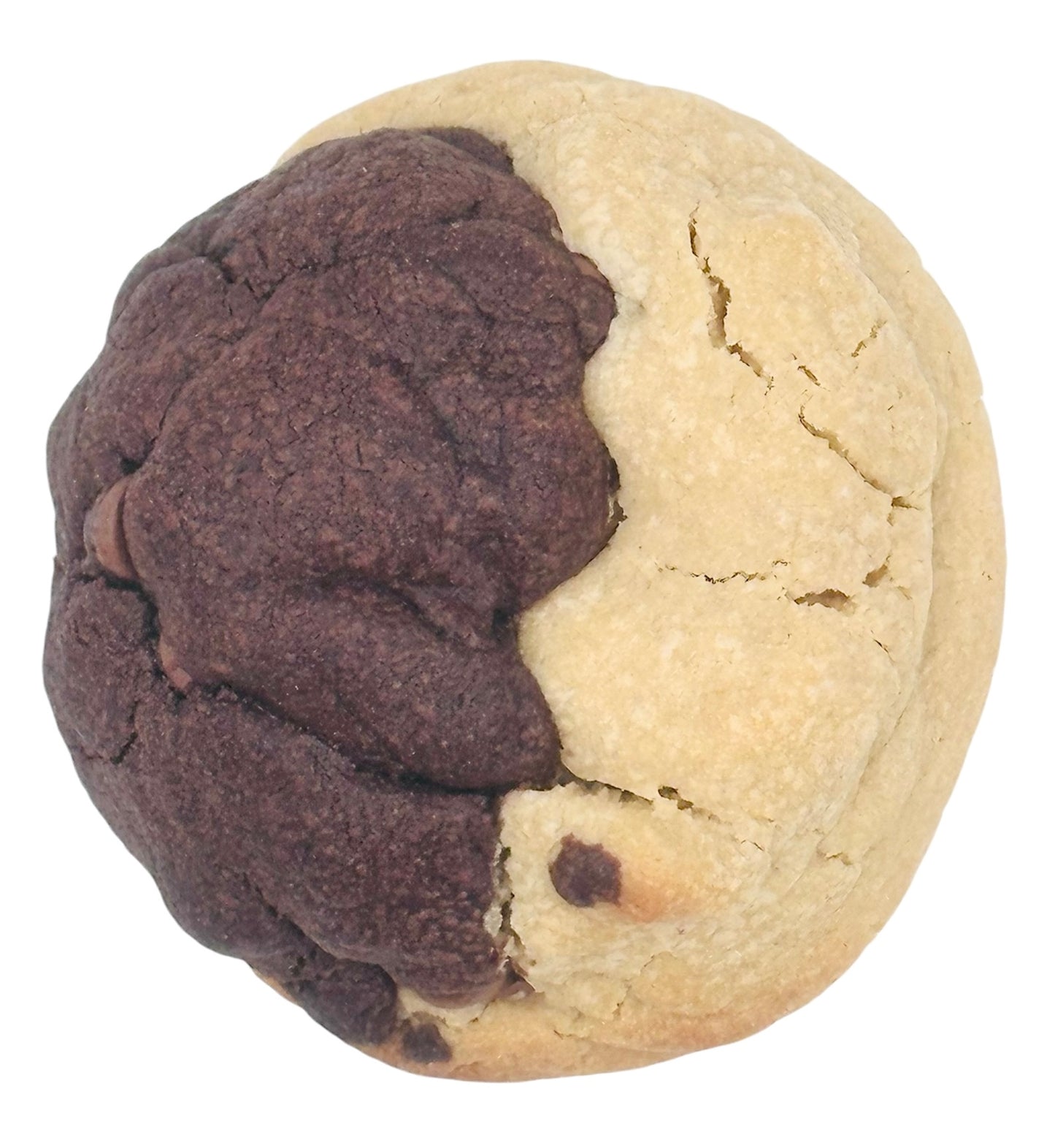 Brookie Chunk (Wholesale)